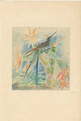 Коган Нина Иосифовна. Колибри на кактусе